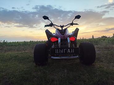 Квадроциклы: Квадроцикл Бензин, 250 куб. см, Взрослый at lalafo.kg — 2 Квадроциклы: Квадроцикл Бензин, 250 куб. см, Взрослый — 2