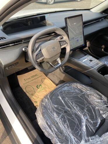 Voyah: Voyah 1.5 l — 9