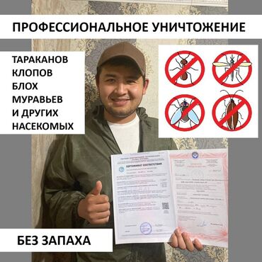 таксопарк 1 процент: Дезинфекциялоо, дезинсекциялоо, | Таракандар, | Офистер, Батирлер, Үйлөр