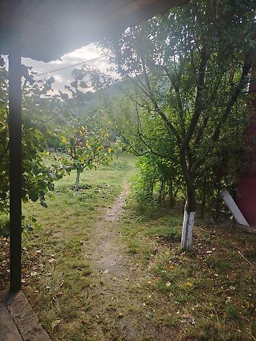 Günlük kirayə evlər: Qubada Qeçreşde həyət evi kirayə verilir – təbiətin qoynunda, sakit — 14