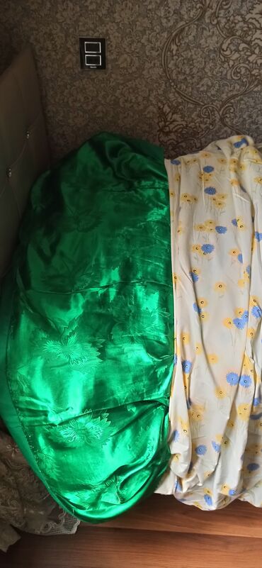 Pledlər: Pled — 8