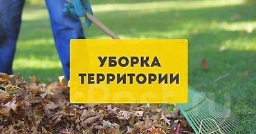 Работа: Я ишу работа уборка по договор . уборка участка . дача. помешения — 2