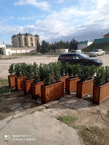 Bitkilər üçün dibçəklər: Bir başa sexdən.Sex qiymətinə ♦️Endrim. ▶️İstenilən modeldə dipçəklər -da lalafo.az — 8 Bitkilər üçün dibçəklər: Bir başa sexdən.Sex qiymətinə ♦️Endrim. ▶️İstenilən modeldə dipçəklər — 8