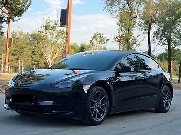 tesla p40: Tesla Model 3: 2023 г., Электромобиль, Седан — 2