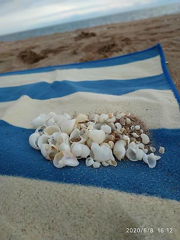 Иссык-Куль 2026: Коттедж, Л ЦО Лазурный берег, Чок-Тал, Детская площадка, Парковка, стоянка, Охраняемая территория — 14