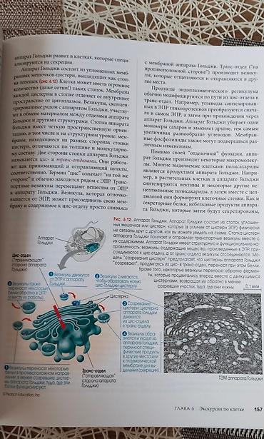 Книги и журналы: Biologiya sahəsində tamamilə yeni müasir kitab, 2 cild, sərt üzlü — 5