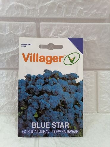 Semena i sadnice: Cena 500din/kesica — 16