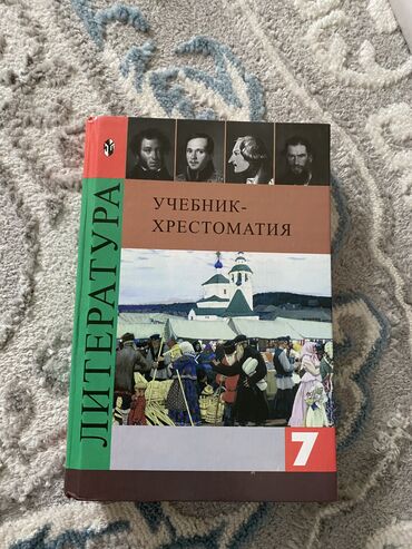 7 навыков: Литература 7 класс