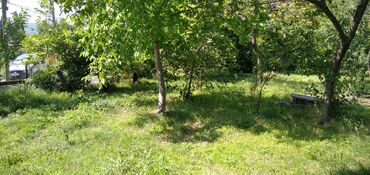 Torpaq sahələrinin satışı: 10 sot, Tikinti, Mülkiyyətçi, Kupça (Çıxarış) — 12