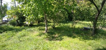 Torpaq sahələrinin satışı: 10 sot, Tikinti, Mülkiyyətçi, Kupça (Çıxarış) — 13