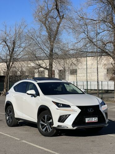 Lexus: Lexus NX: 2020 г., 2 л, Автомат, Бензин, Кроссовер — 2