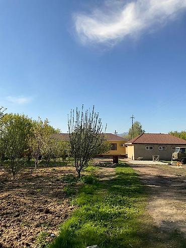 Продажа коттеджей и домов: 🏡 НЕ ПРОСТО ДОМ — А ВАШЕ ЛИЧНОЕ ПРОСТРАНСТВО ДЛЯ ЖИЗНИ И ДОСТАТКА 📍 — 20