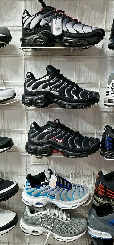 crivit marka: Original modeli sa kutijom od 41 do 46 za samo 4700 din🎀🔔🔔 — 1