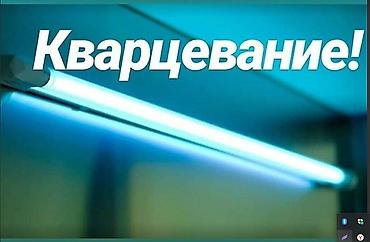 поис: Бактерицидная - все в теме кварцевая лампа 2 вида от вирусов и — 2