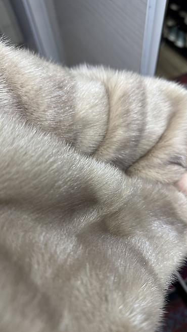 moon snow cat: Шуба, Норка, По колено, M, L — 4