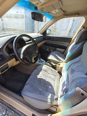outback 2008: Subaru Forester: 2003 г., 2.5 л, Автомат, Бензин, Универсал — 7
