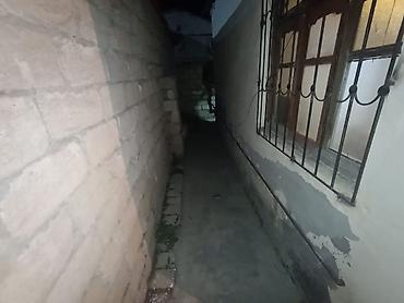 berdede kiraye evler 2020: Binəqədi mister tum fabrikin yanında 1 otaq heyet evi kirayyə verilir — 4