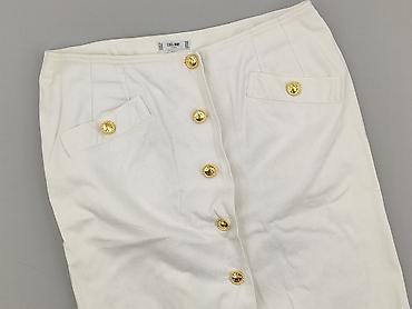 topy celine: Celine, Spódnica damska, rozmiar 2XL — 1