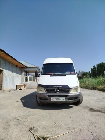 рекс спринтер пассажир: Автобус, Mercedes-Benz
