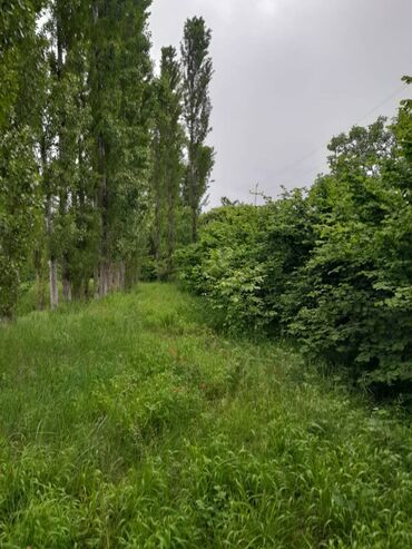 Torpaq sahələrinin satışı: 75 sot, Tikinti, Maklerlər narahat etməsin, Kupça (Çıxarış) -da lalafo.az — 8 Torpaq sahələrinin satışı: 75 sot, Tikinti, Maklerlər narahat etməsin, Kupça (Çıxarış) — 8