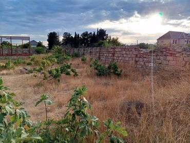 Torpaq sahələrinin satışı: 9 sot, Tikinti, Mülkiyyətçi, Kupça (Çıxarış) -da lalafo.az — 10 Torpaq sahələrinin satışı: 9 sot, Tikinti, Mülkiyyətçi, Kupça (Çıxarış) — 10