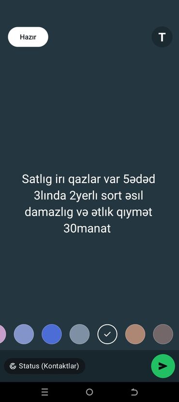 it adları erkek: Erkək, | Linda, Damazlıq
