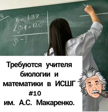 арча бешик 1: Талап кылынат Мугалим - Математика, Мамлекеттик мектеп, Тажрыйбасы бир жылдан аз