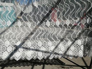 Зоотовары: Təzə. Gloria pərdə tül galeriyasından alınıb. Real eni 6 metr, lakin 3 — 5