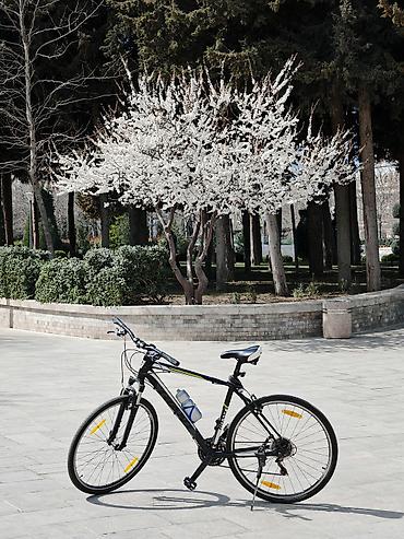Velosipedlər: Giant hibrid/şosse tipli velosiped - Brend/model: Giant (hibrid — 1