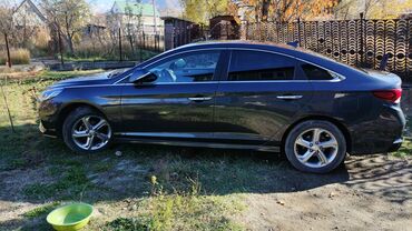 хундай авнта: Hyundai Sonata: 2017 г., 2 л, Типтроник, Газ, Седан