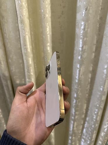 Apple iPhone: IPhone 13 Pro, 256 ГБ, 79 % — 7