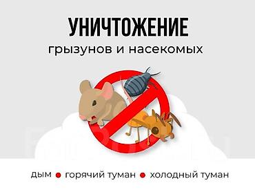 осы: Дезинфекциялоо, дезинсекциялоо, | Бүргөлөр, Вирустар, микробдор, Канталалар, | Үйлөр, Кафелер, дүкөндөр, Батирлер — 5