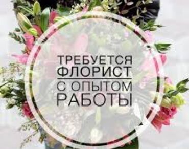 работа в сахалине для граждан киргизии: Срочно требуется опытный флорист в цветочный салонс 9:00-17:00 или с