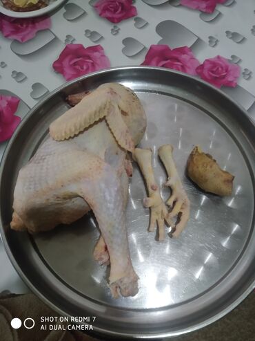 toyuq əti qiyməti: Kənd colpalari