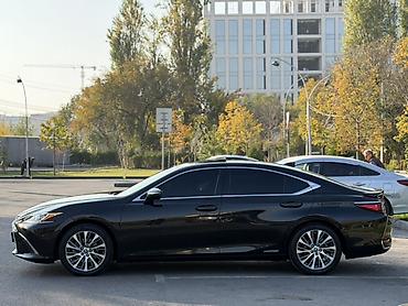 daf 2013: Lexus ES: 2020 г., 2.5 л, Вариатор, Гибрид, Седан — 7