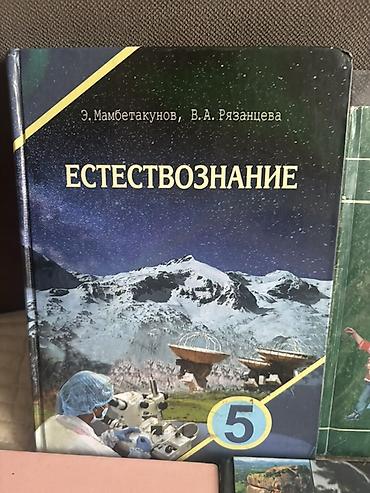 solutions elementary: Русский язык, 4 класс, Б/у, Самовывоз — 10