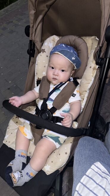 Коляски: Коляска, цвет - Коричневый — 1