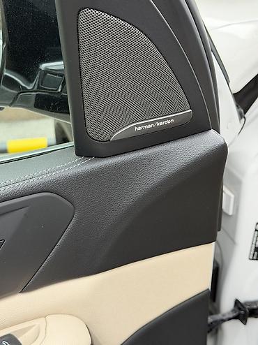 BMW: BMW X5: 2019 г., 3 л, Типтроник, Бензин, Кроссовер — 12