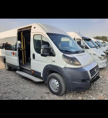 Fiat: Fiat Ducato: 2014 г., 2.3 л, Механика, Дизель, Бус