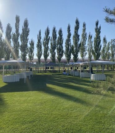 Выездные банкеты: Столы стулья!!! Прокат столов стульев!!! — 10