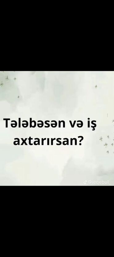 Digər ixtisaslar: Silkway sağlamlıq mərkəzinə qeydiyyatçı operator tələb olunur