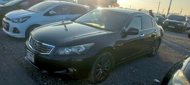 Honda: Honda Accord: 2011 г., 3.5 л, Автомат, Газ, Седан