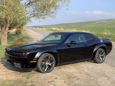 Dodge: Dodge Challenger: 2014 г., 3.6 л, Типтроник, Бензин, Купе — 8