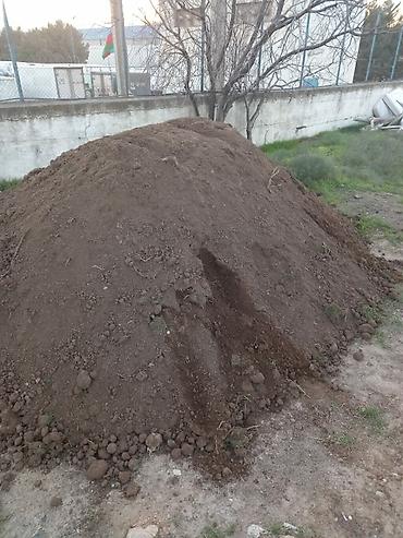 Peyin: Qara Torpaq Peyin sifarisi. Şamaxi Ismayilli rayonlarindan istəyə — 10