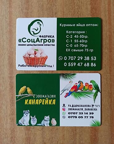 Печать: Струйная печать, | Визитки, Наклейки, Брошюры — 12