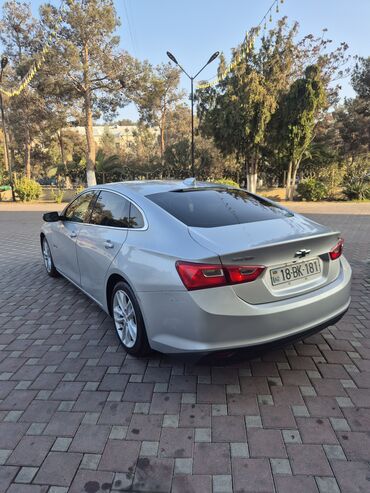 Chevrolet: Chevrolet Malibu: 1.5 l | 2016 il 276500 km Sedan — 9