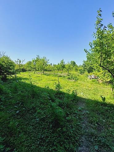 mingəcevir satılıq evlər: 129 kv. m, 4 otaqlı, Kombi, Artezian quyusu, Kanalizasiya — 10
