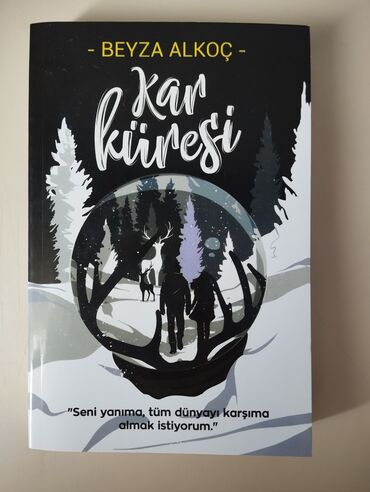 riyaziyyat 6 sinif kitabi yukle: Kar küresi kitabından başqa digər kitablar işlənmişdir