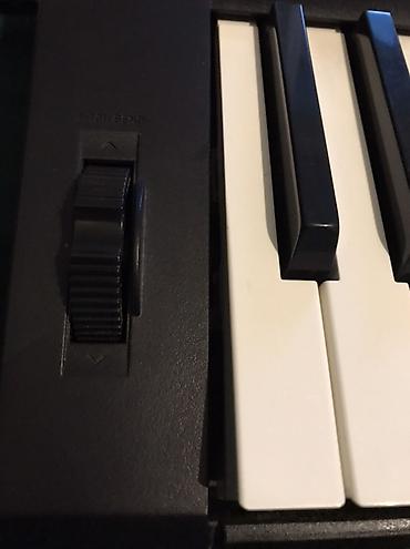 Синтезаторы: Синтезатор Casio CTK-3300 Чувствительные к нажатию клавиши, большие — 2