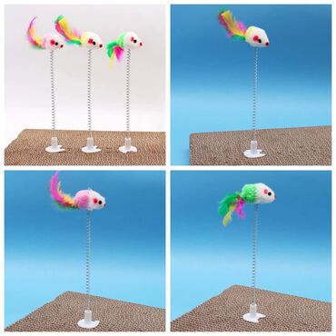 Зоотовары: ПРОДАЮ КОШАЧЬЮ МЯТУ(АНТИСТРЕСС),ПОРАДУЙТЕ СВОГО КОТИКА ТАКОЙ at lalafo.kg — 14 Зоотовары: ПРОДАЮ КОШАЧЬЮ МЯТУ(АНТИСТРЕСС),ПОРАДУЙТЕ СВОГО КОТИКА ТАКОЙ — 14